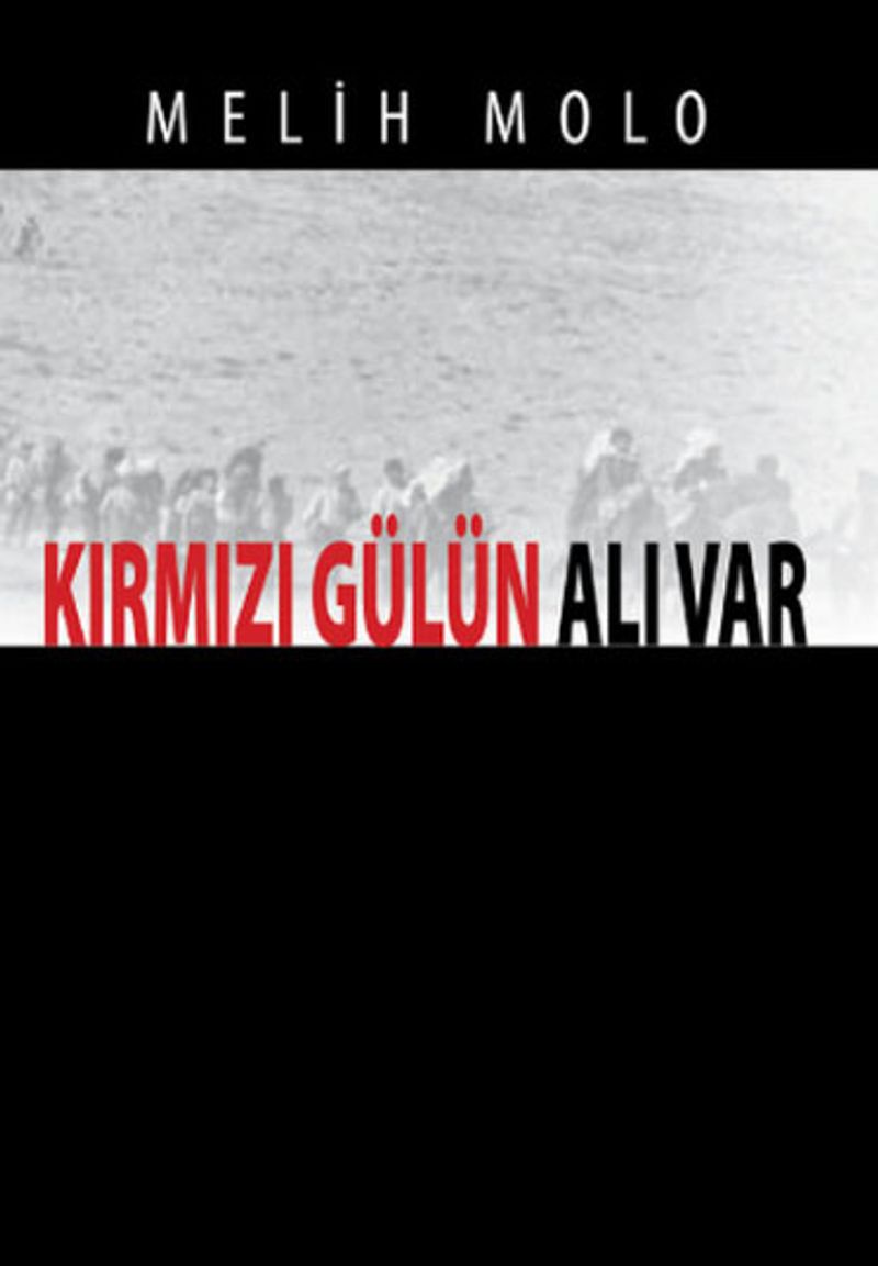 Kırmızı Gülün Alı Var kitap kapağı
