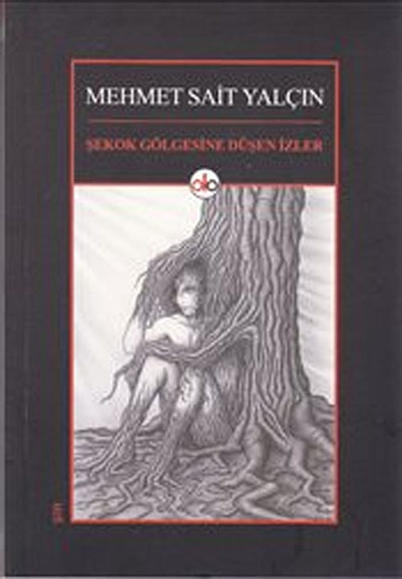 Şekok Gölgesine Düşen İzler kitap kapağı