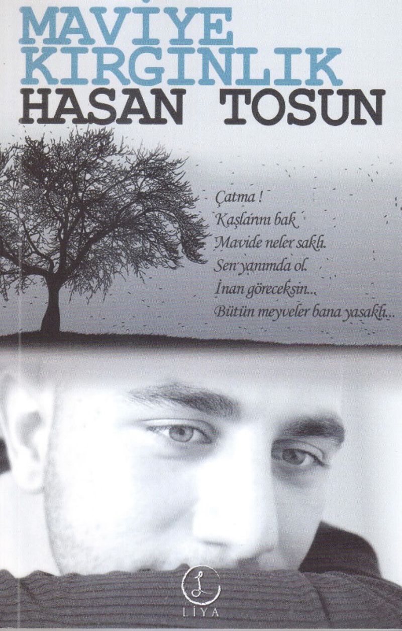 Maviye Kırgınlık kitap kapağı