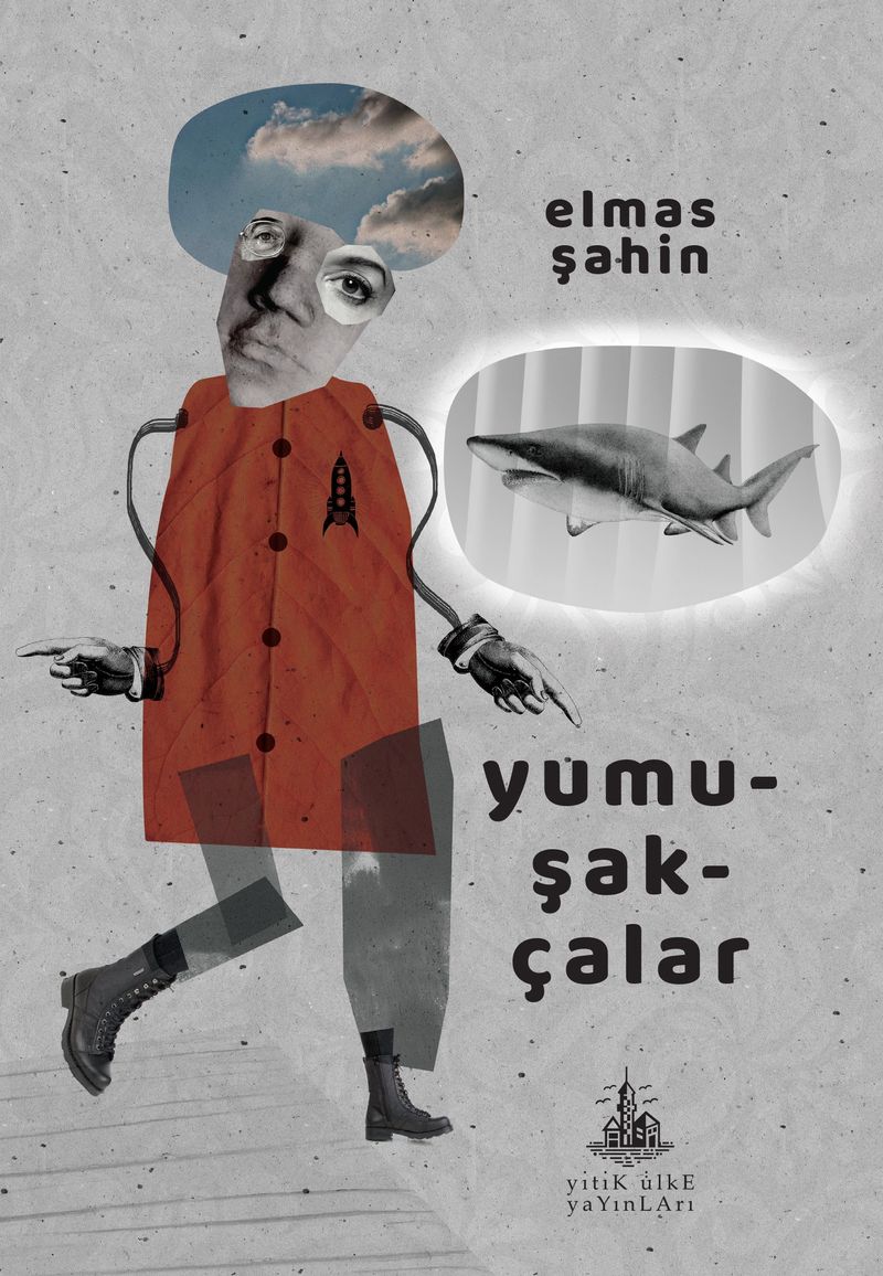 Yumuşakçalar kitap kapağı