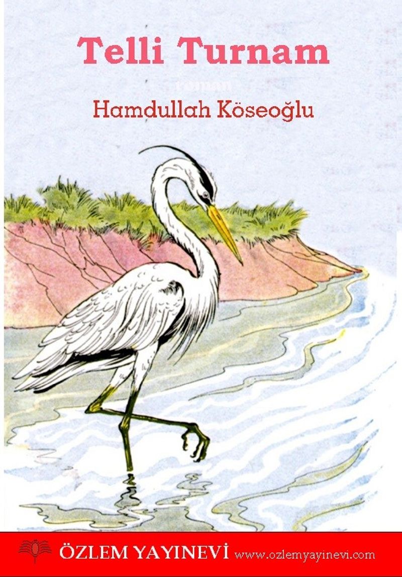 Telli Turnam kitap kapağı