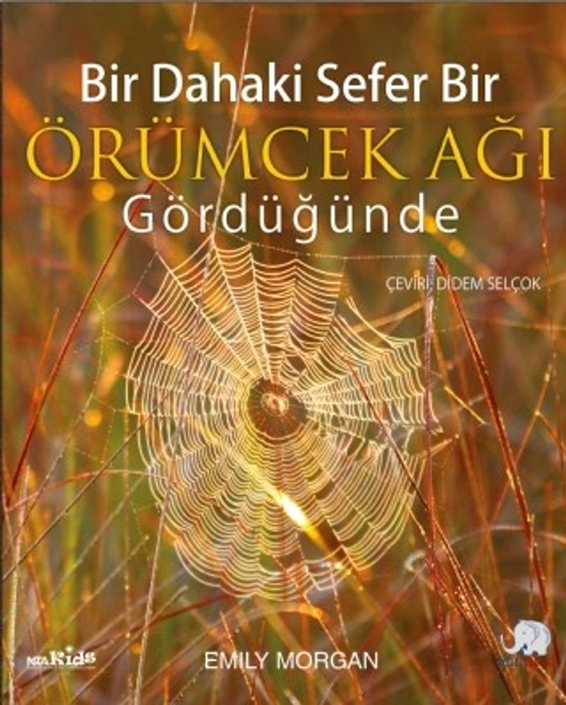 Bir Dahaki Sefer Örümcek Ağı Gördüğünde kitap kapağı
