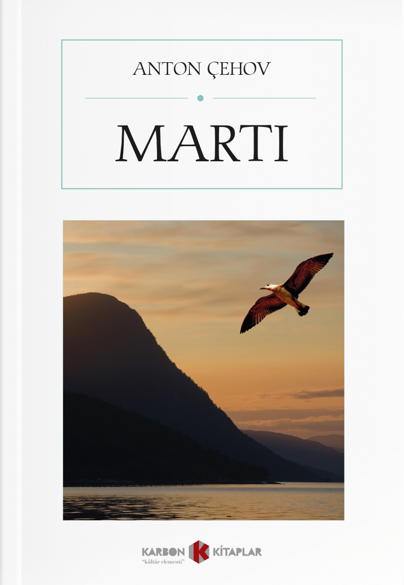 Martı kitap kapağı