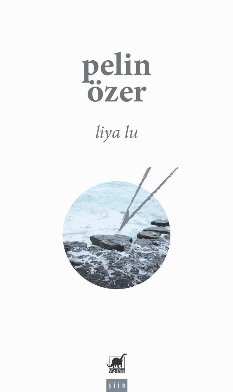 Liya Lu kitap kapağı