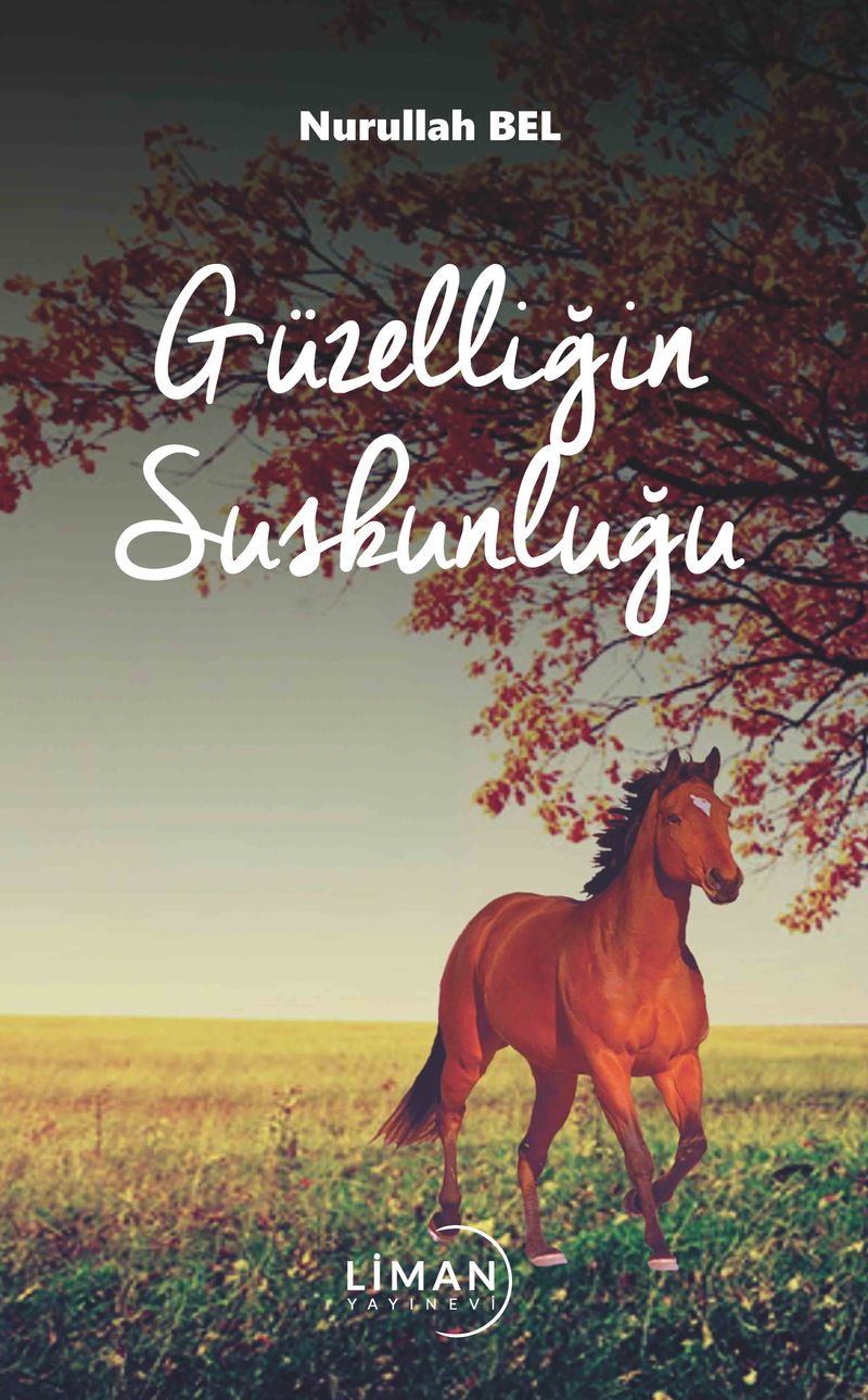 Güzelliğin Suskunluğu kitap kapağı