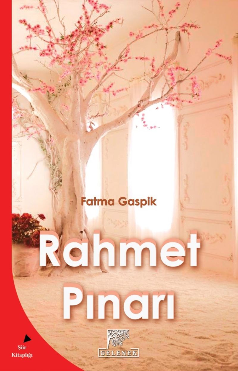 Rahmet Pınarı kitap kapağı