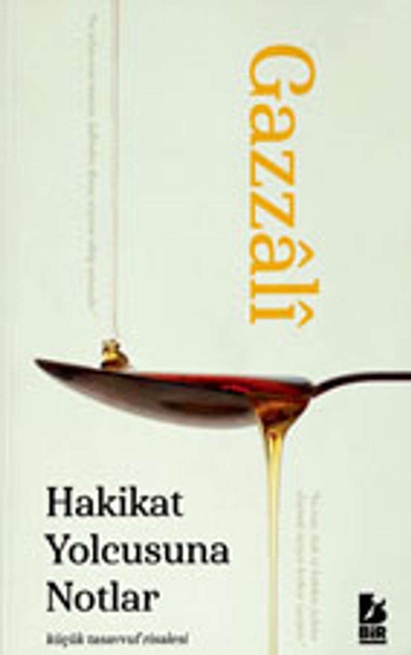 Hakikat Yolcusuna Notlar kitap kapağı