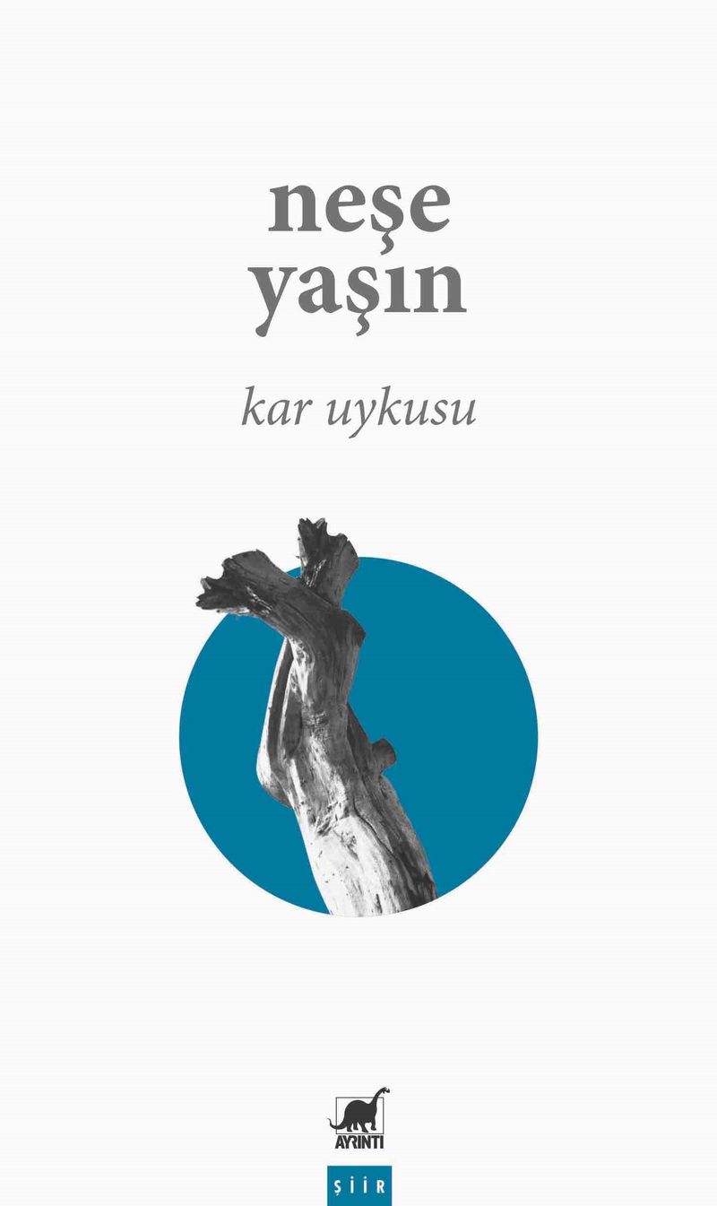 Kar Uykusu kitap kapağı