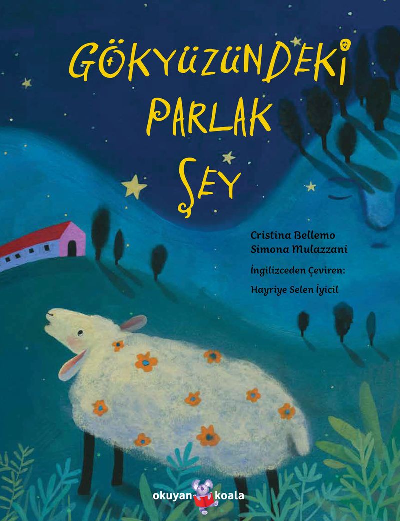 Gökyüzündeki Parlak Şey kitap kapağı
