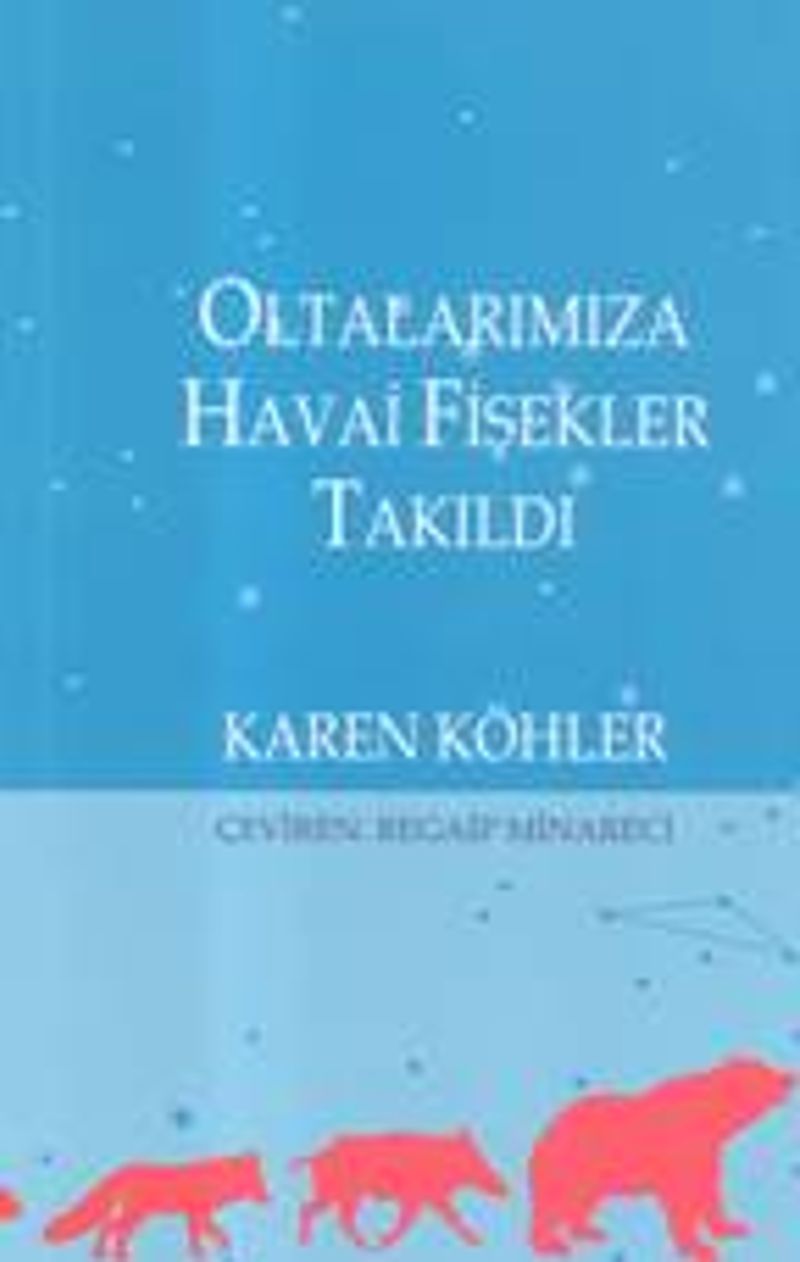 Oltalarımıza Havai Fişekler Takıldı kitap kapağı