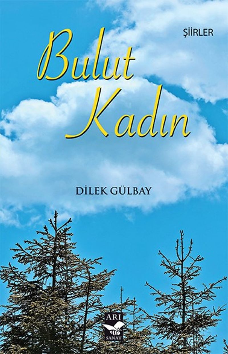 Bulut Kadın kitap kapağı