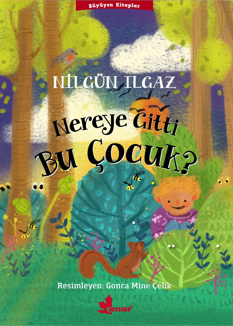 Nereye Gitti Bu Çocuk? kitap kapağı