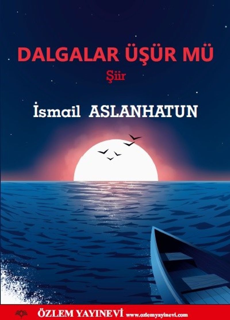 Dalgalar Üşür Mü kitap kapağı