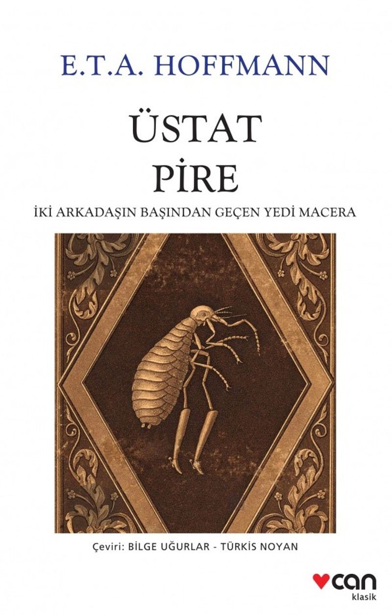 Üstat Pire İki Arkadaşın Başından Geçen Yedi Macera kitap kapağı
