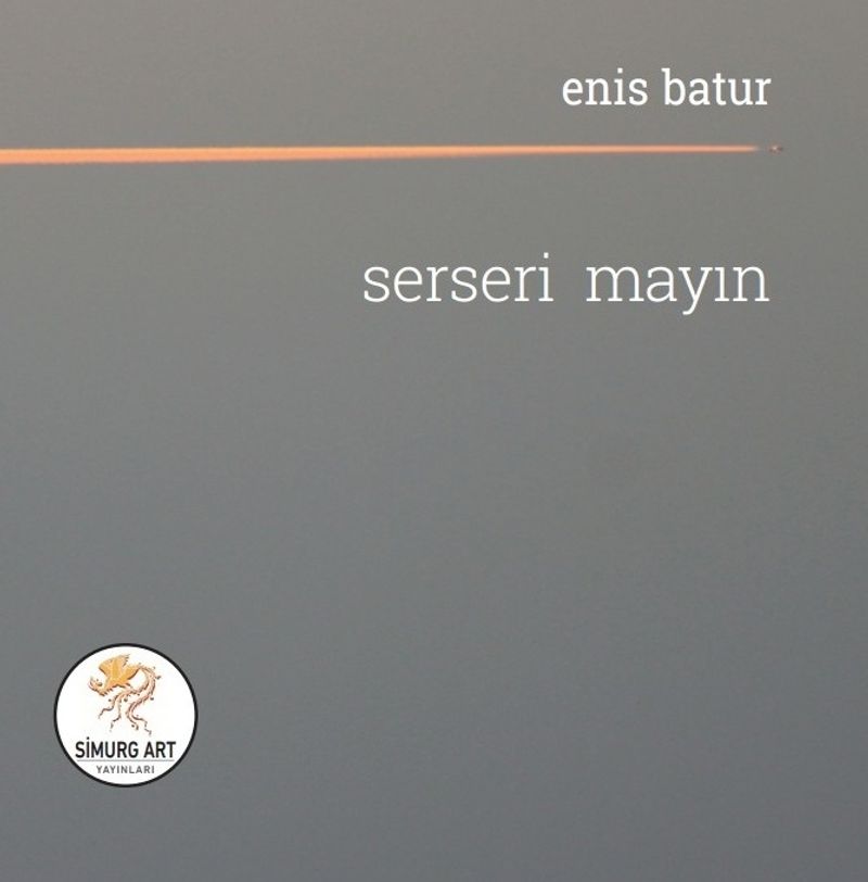 Serseri Mayın kitap kapağı
