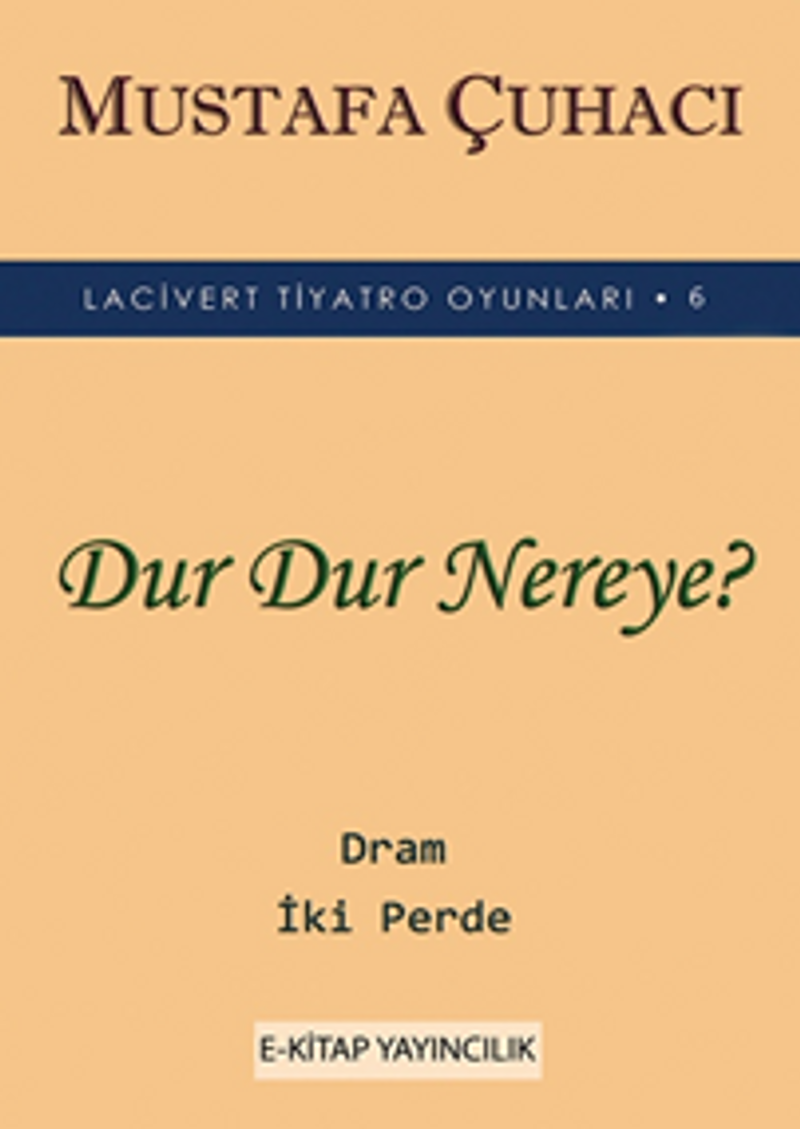 Dur Dur Nereye? kitap kapağı