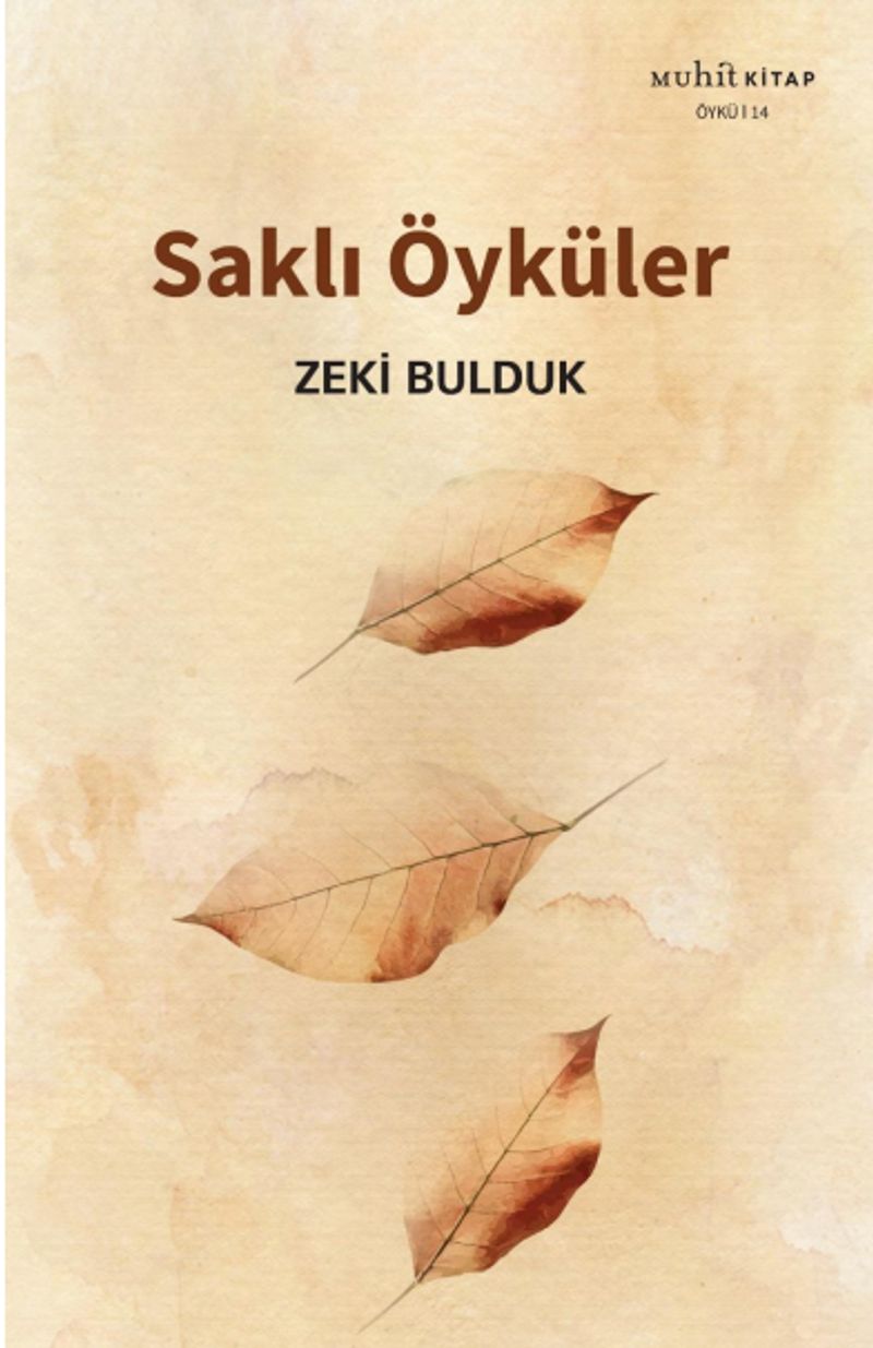 Saklı Öyküler kitap kapağı