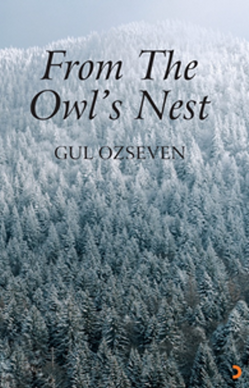 From The Owl's Nest kitap kapağı