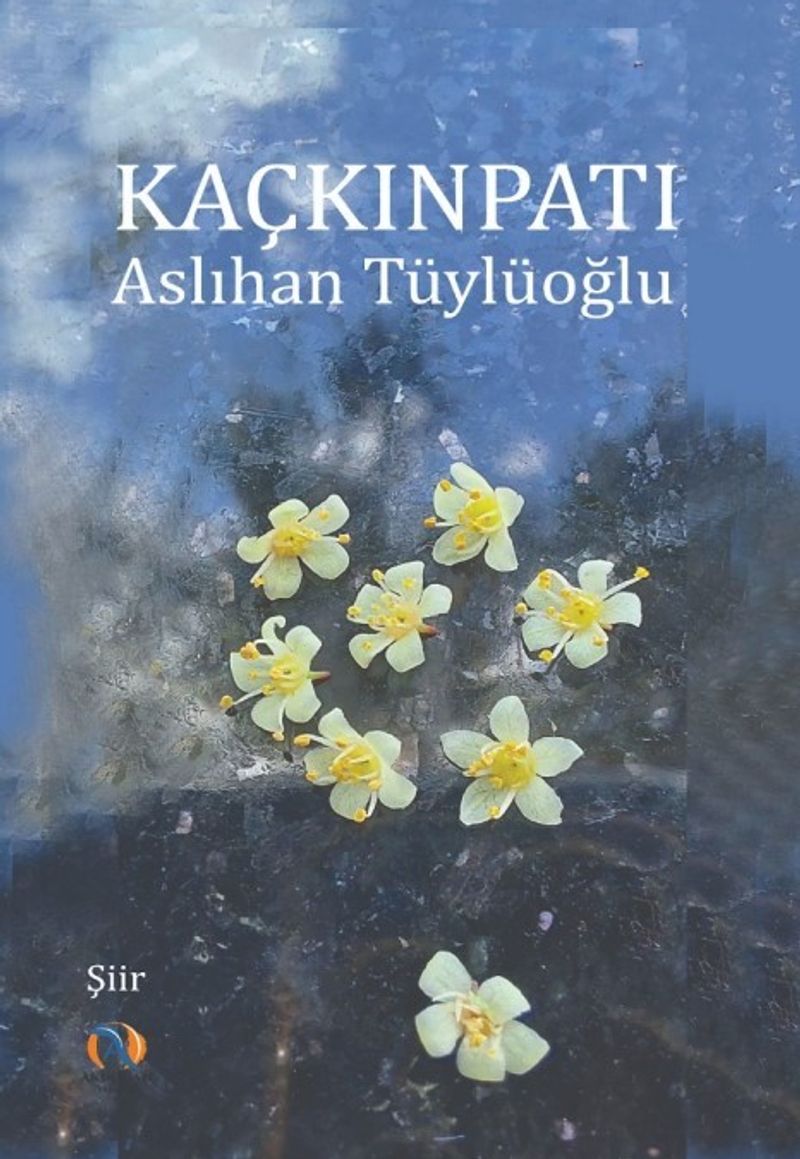 Kaçkınpatı kitap kapağı