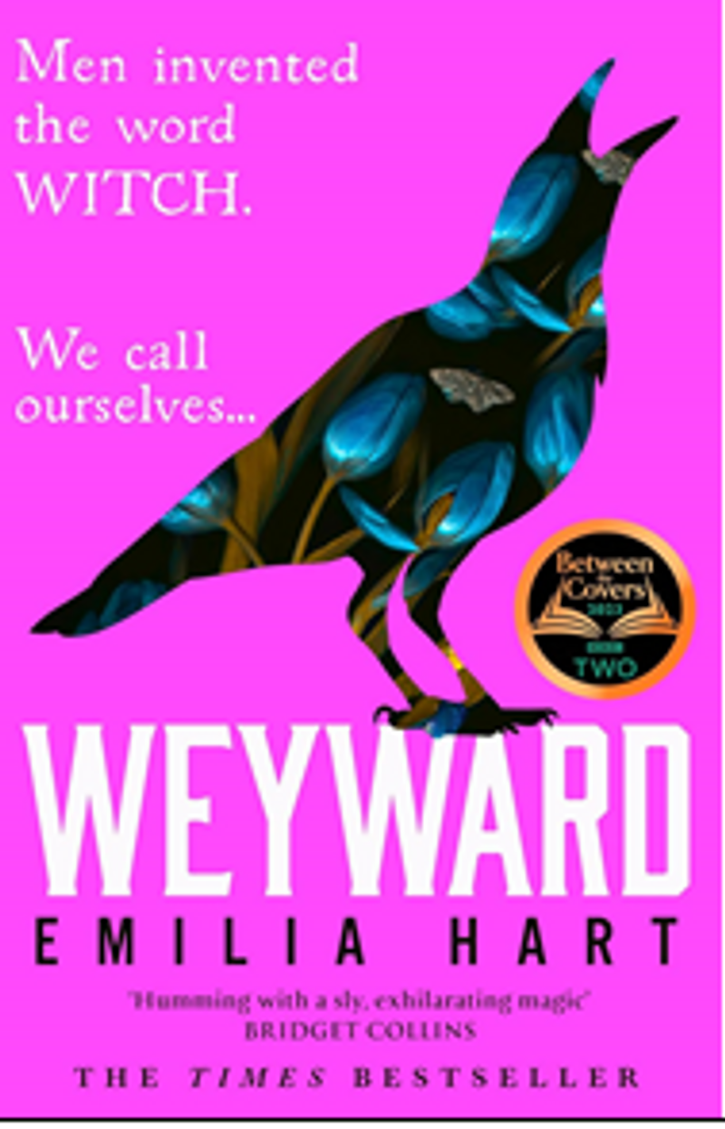 Weyward kitap kapağı