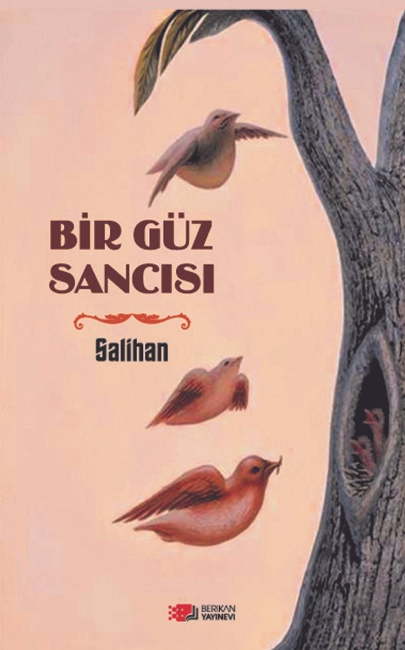 Bir Güz Sancısı kitap kapağı