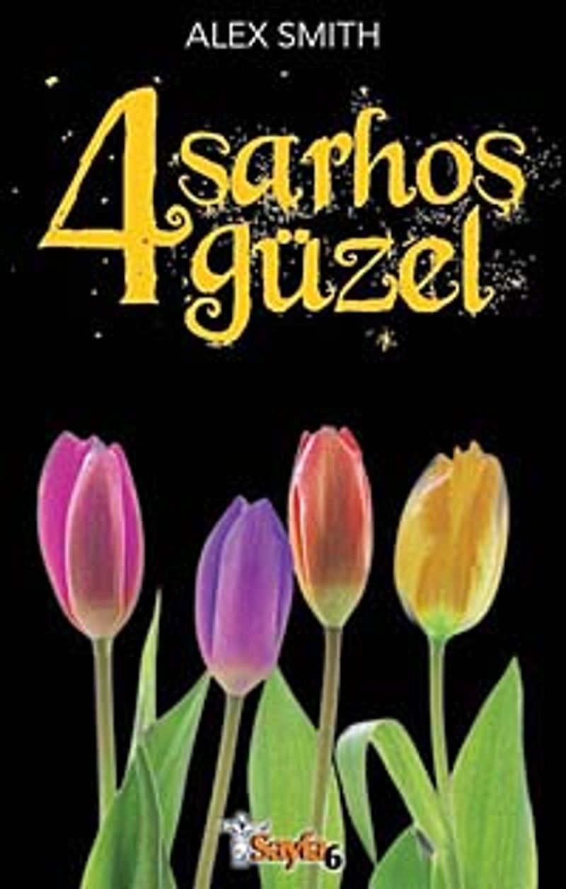 4 Sarhoş Güzel kitap kapağı