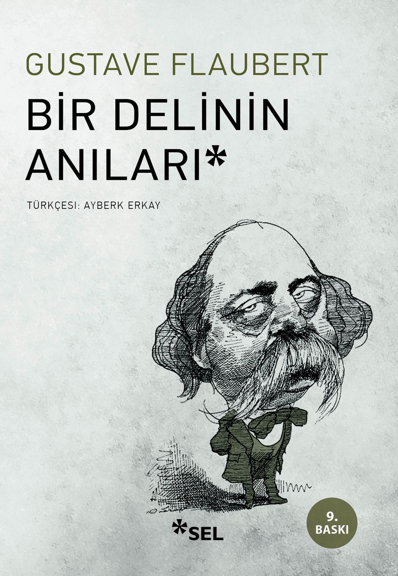 Bir Delinin Anıları kitap kapağı