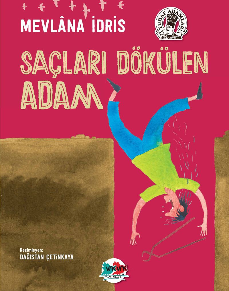 Saçları Dökülen Adam kitap kapağı