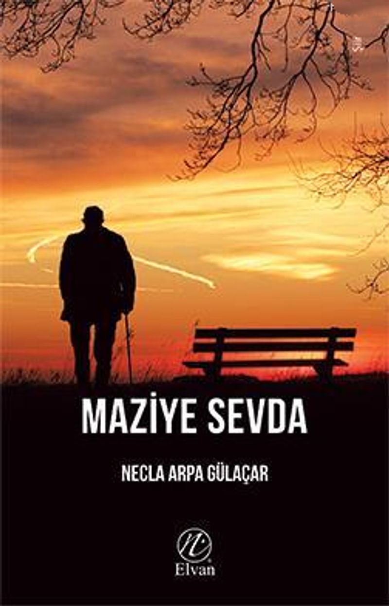 Maziye Sevda kitap kapağı