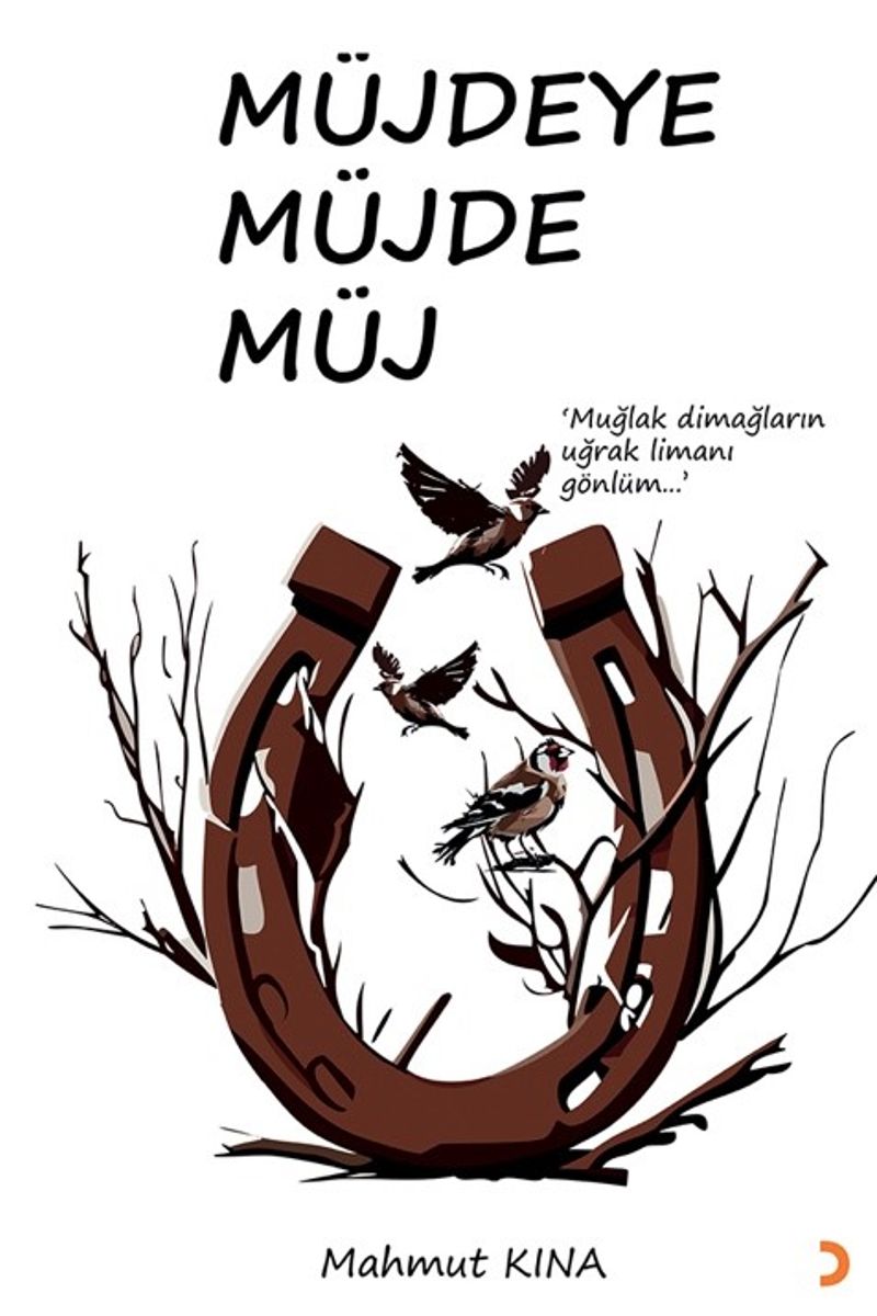 Müjdeye Müjde Müj kitap kapağı