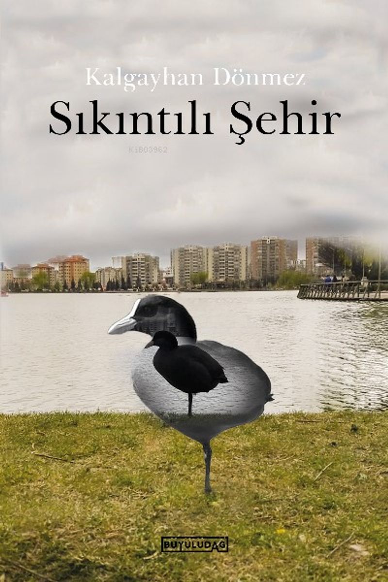 Sıkıntılı Şehir kitap kapağı
