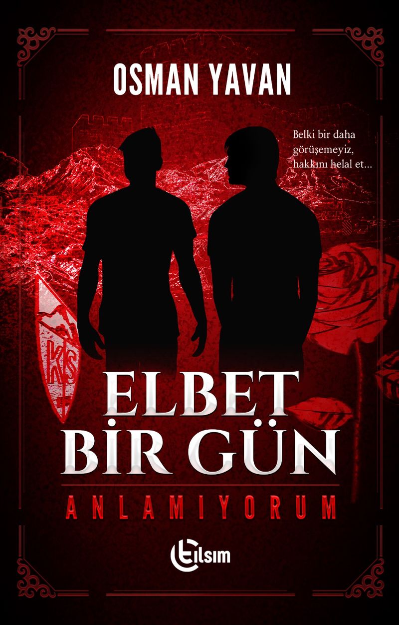 Elbet Bir Gün Anlamıyorum kitap kapağı
