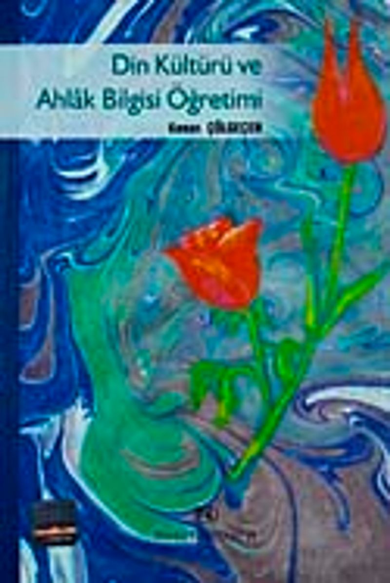 Din Kültürü ve Ahlak Bilgisi Öğretimi kitap kapağı