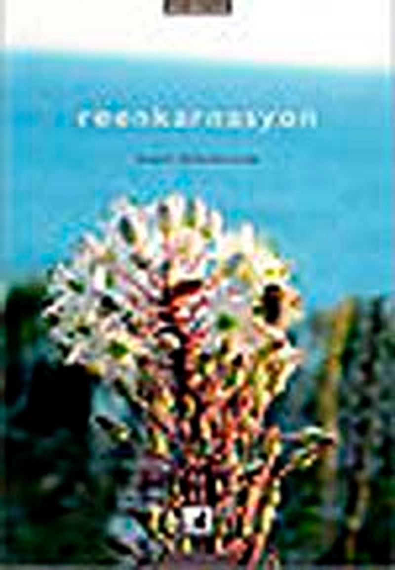 Reenkarnasyon kitap kapağı
