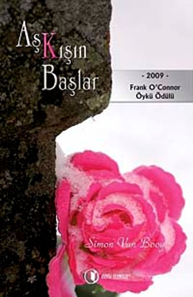Aşk Kışın Başlar kitap kapağı