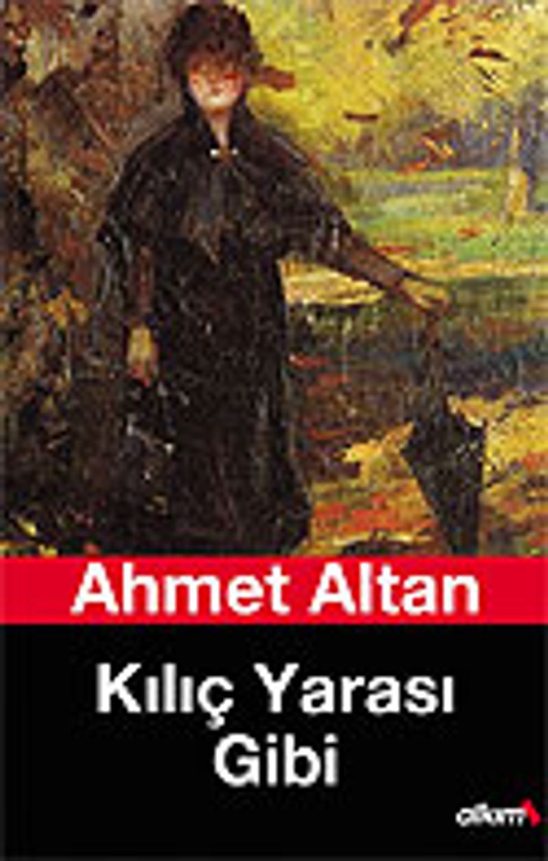 Kılıç Yarası Gibi kitap kapağı