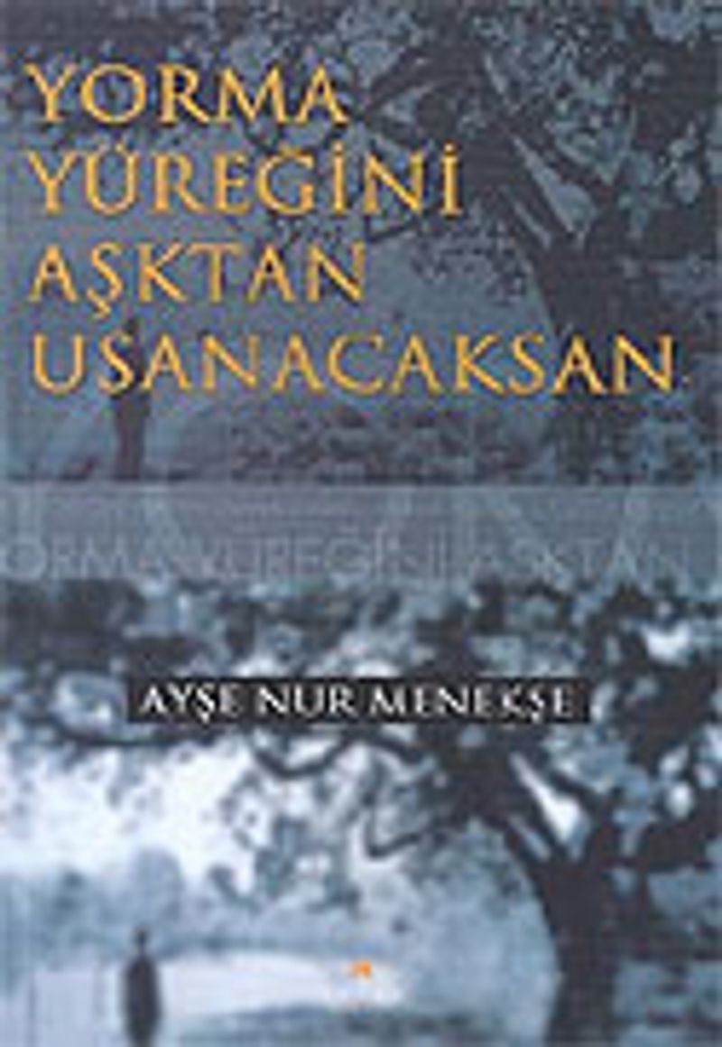 Yorma Yüreğini Aşktan Usanacaksın kitap kapağı