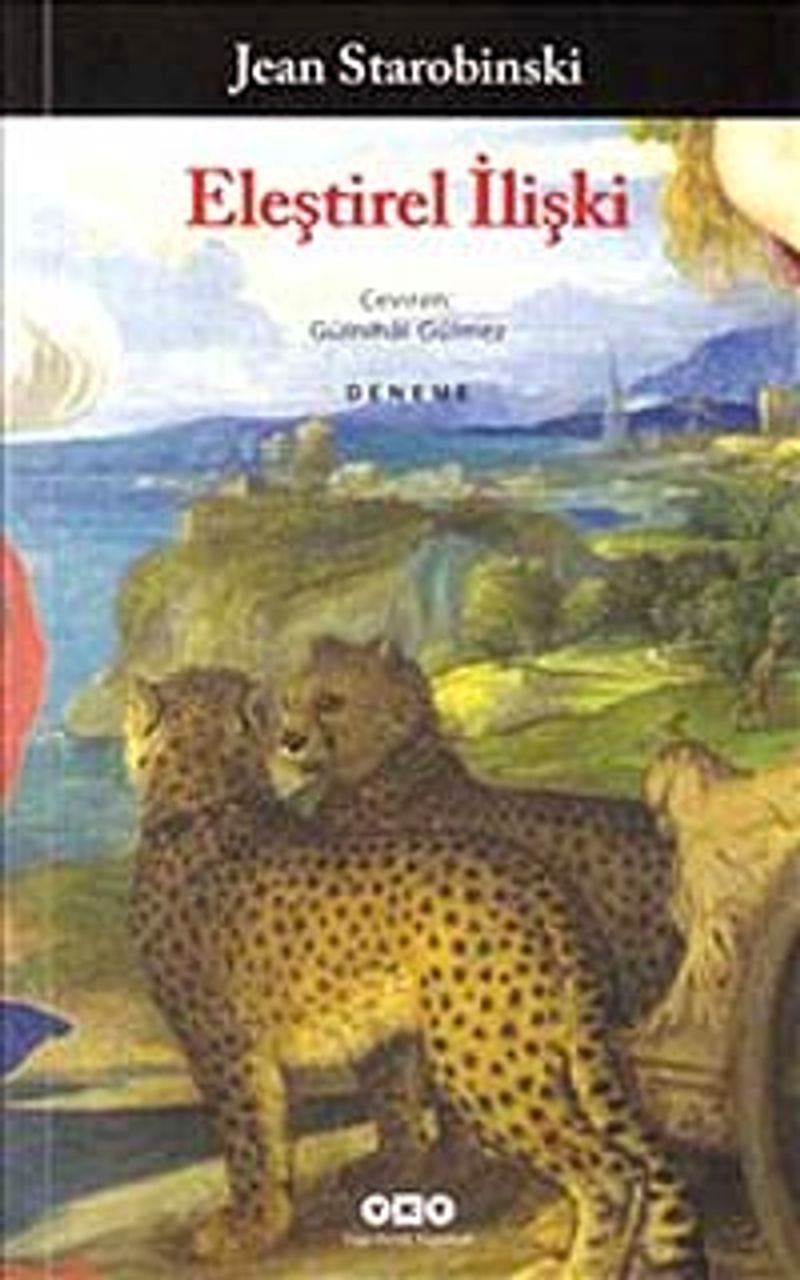 Eleştirel İlişki kitap kapağı