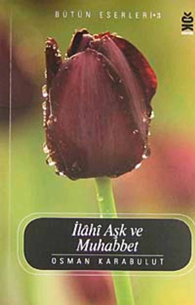 İlahi Aşk ve Muhabbet kitap kapağı