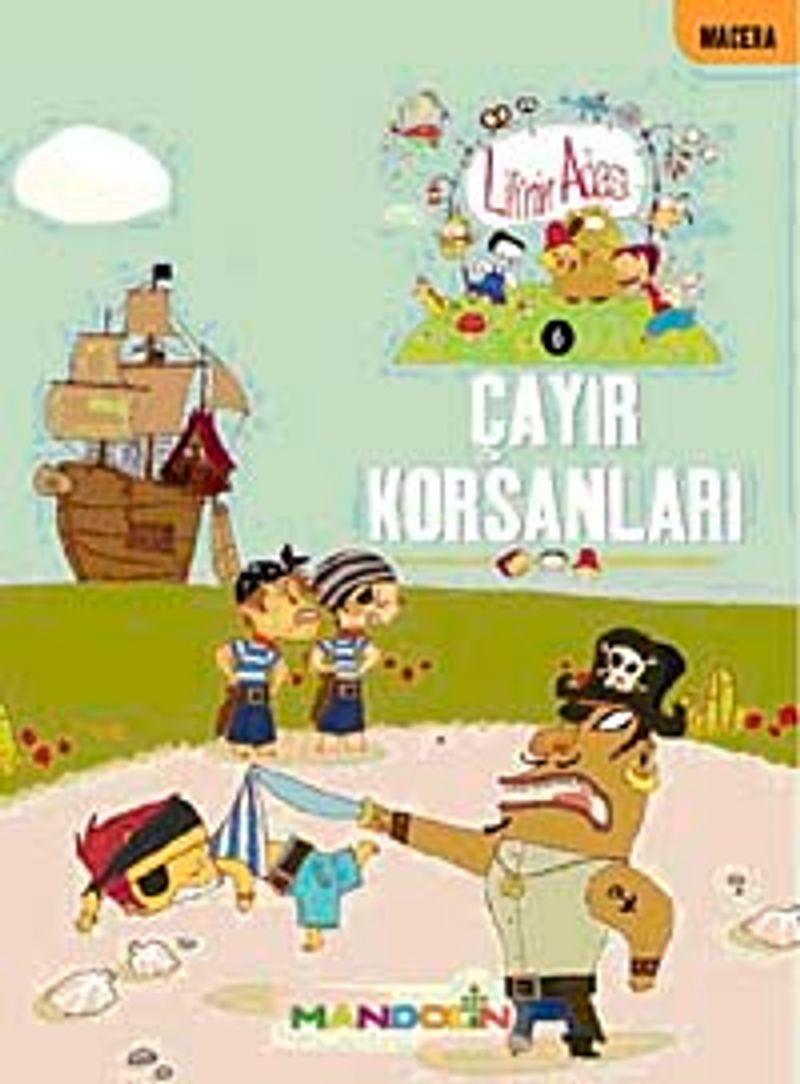 Lili'nin Adası-6 / Çayır Korsanları kitap kapağı