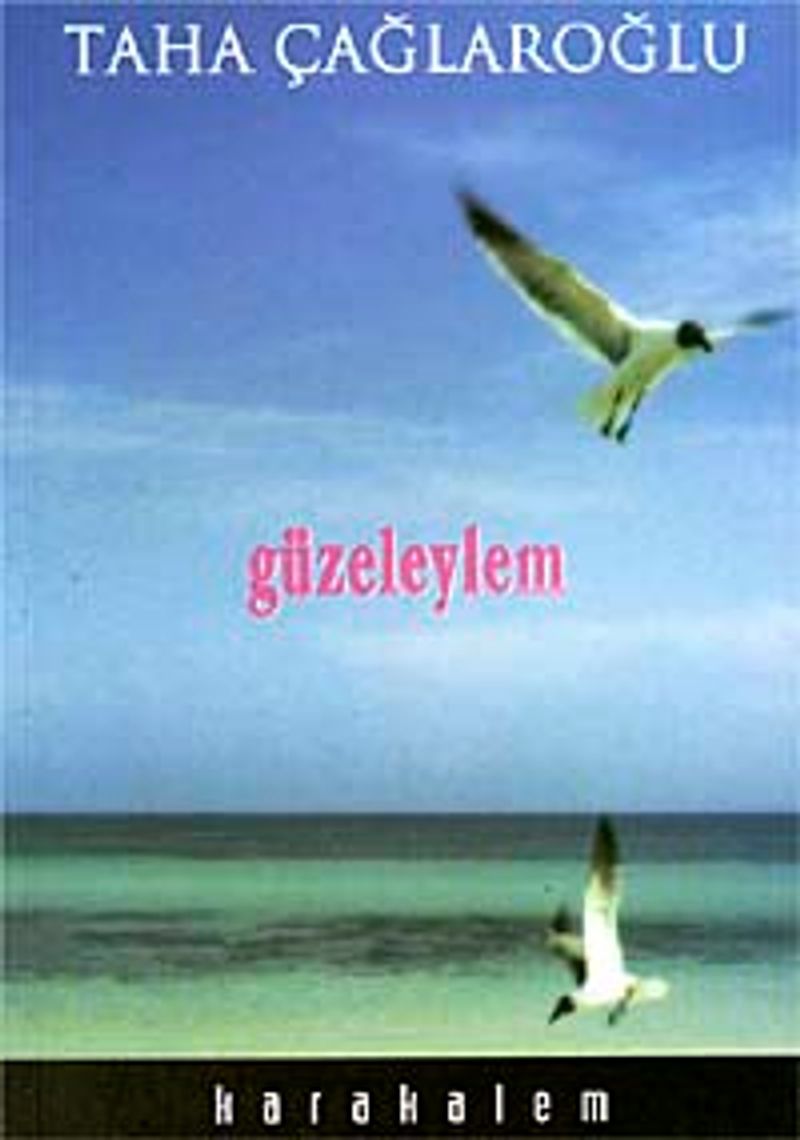 Güzeleylem kitap kapağı