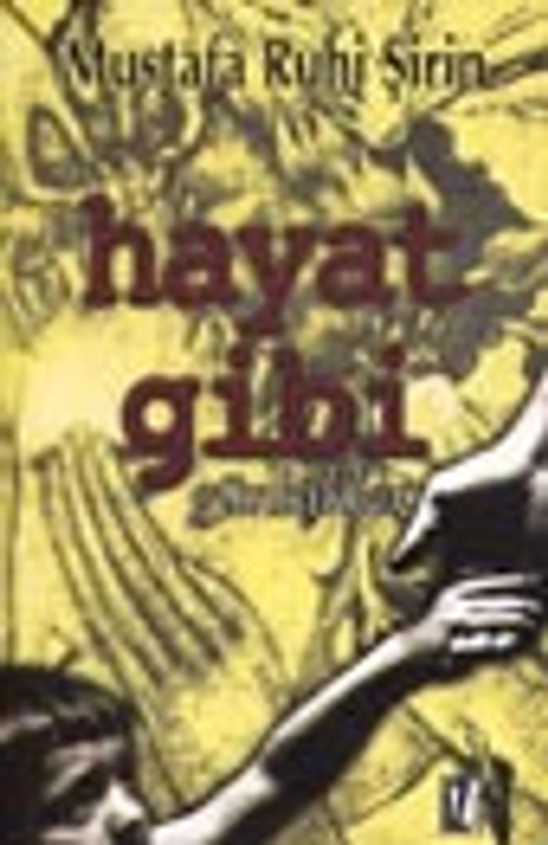Hayat Gibi kitap kapağı