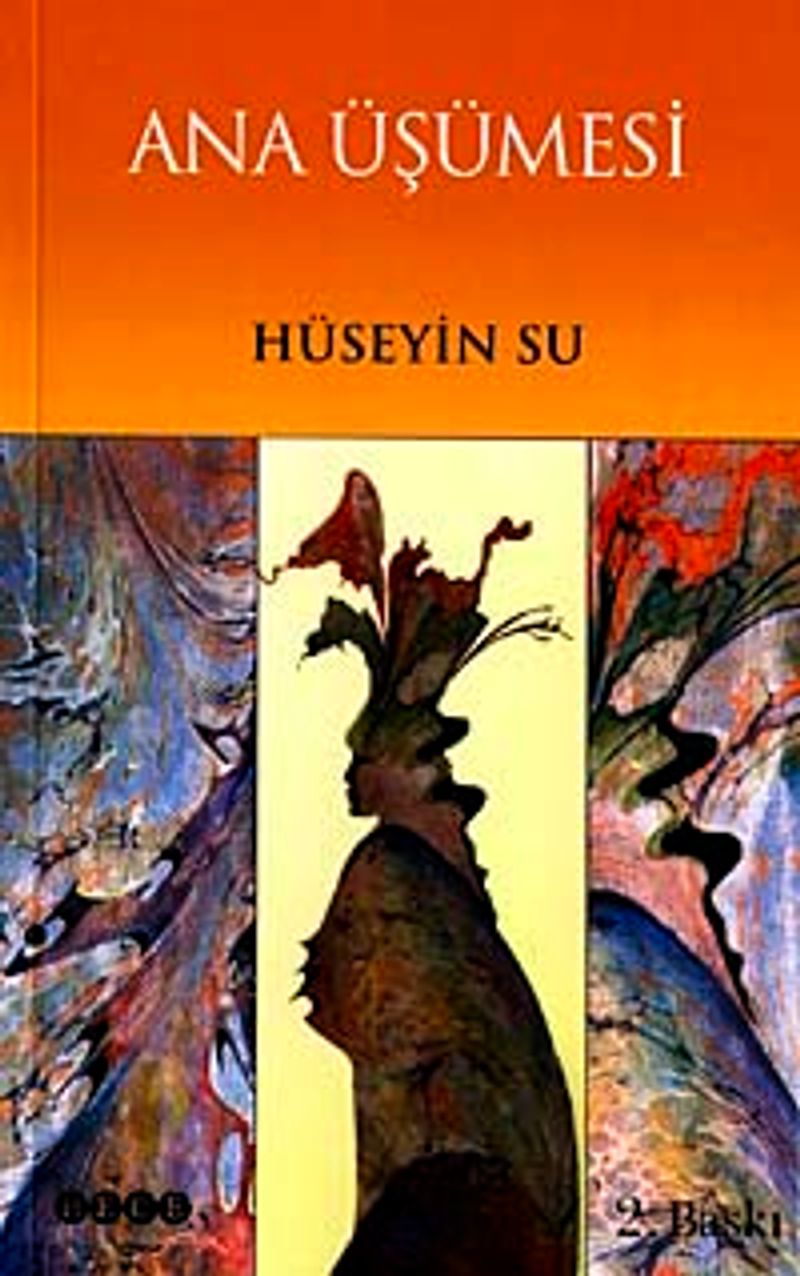 Ana Üşümesi kitap kapağı