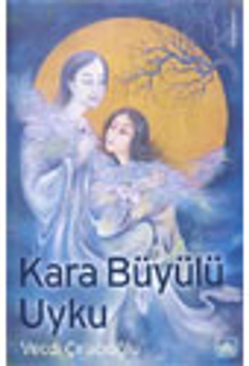 Kara Büyülü Uyku kitap kapağı
