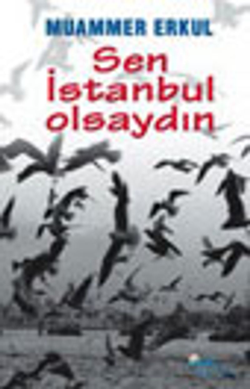 Sen İstanbul Olsaydın kitap kapağı