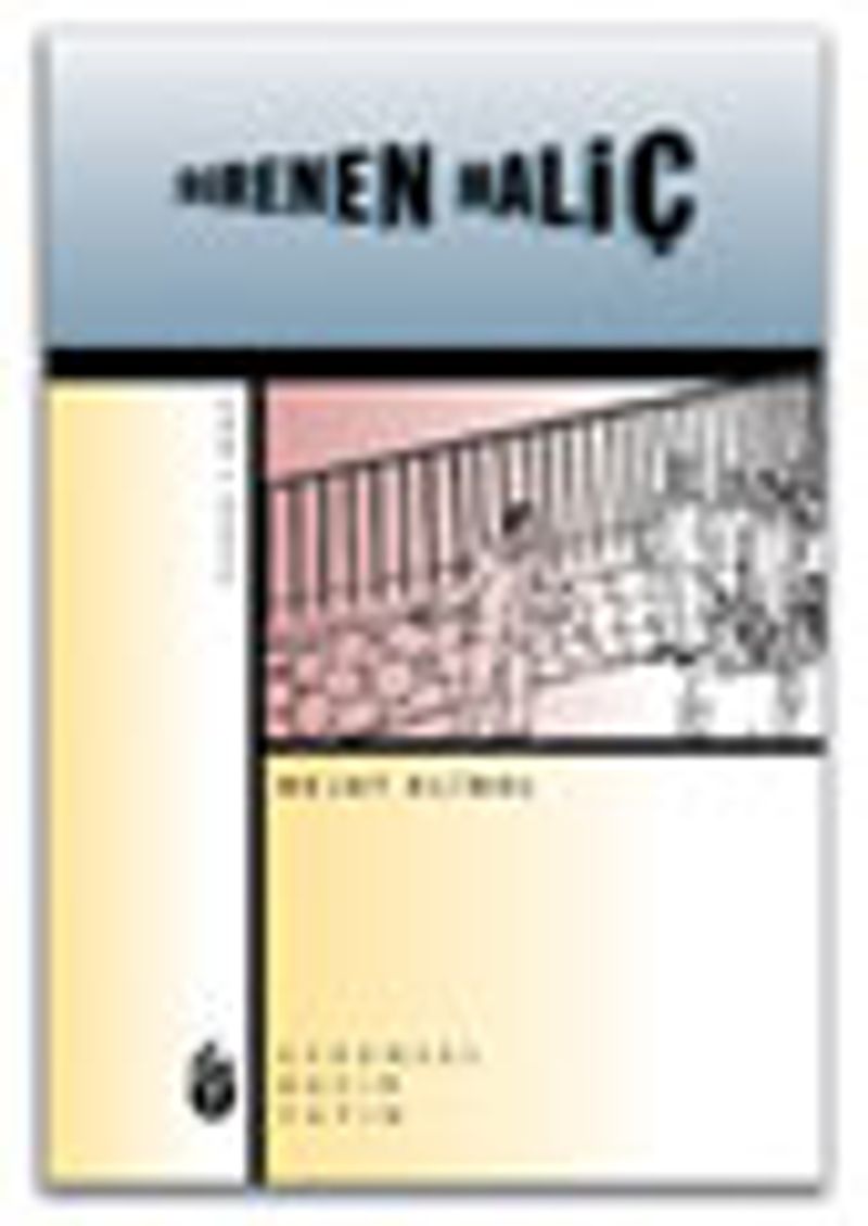 Direnen Haliç 1. Cilt kitap kapağı