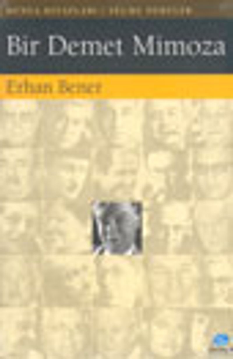 Bir Demet Mimoza kitap kapağı