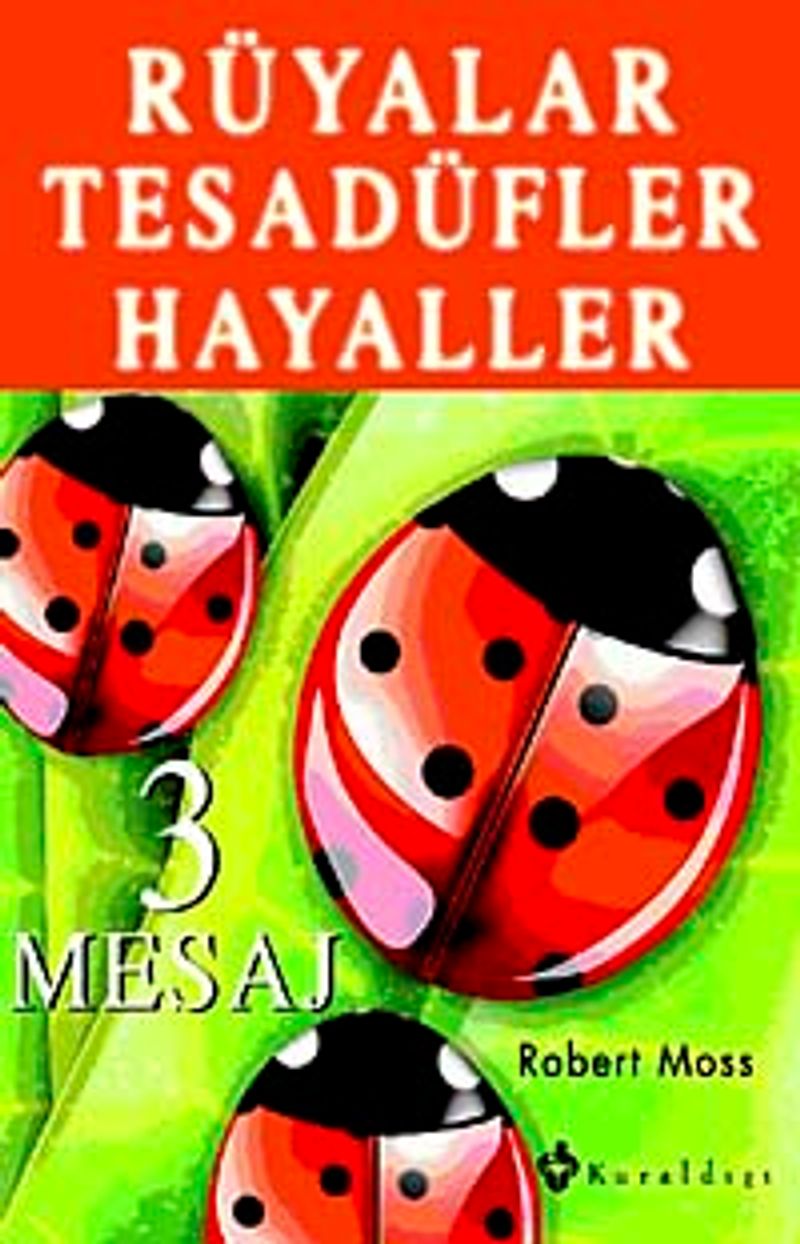 Rüyalar Tesadüfler Hayaller 3 Mesaj kitap kapağı