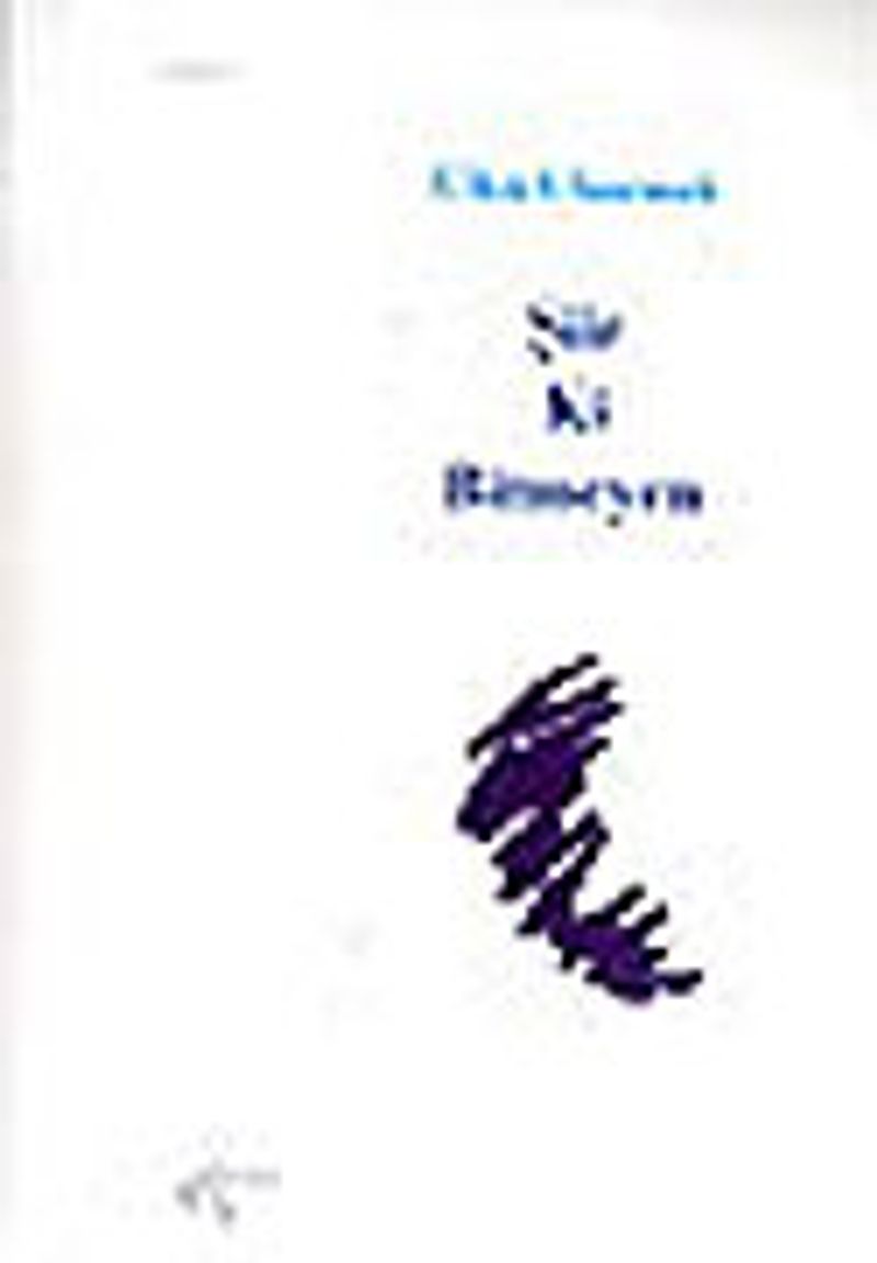 Şiir ki Bitmeyen kitap kapağı