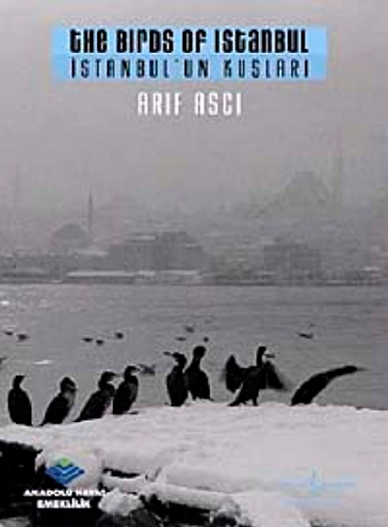 İstanbul'un Kuşları kitap kapağı